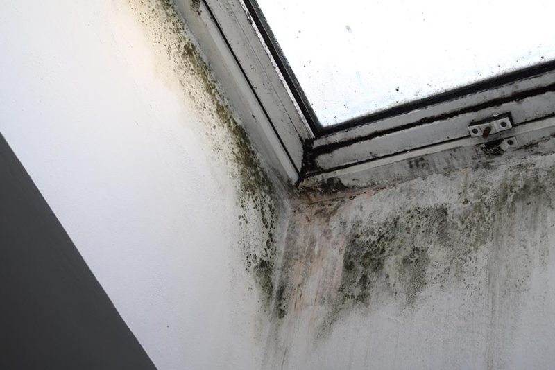 Comment traiter l’humidité autour des fenêtres — free download
