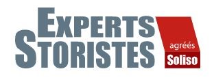 Logo experts storistes