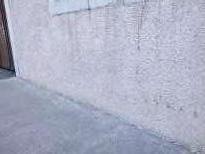 Traitement contre l'humidité Muret Murprotec MURET Mairie D’asson